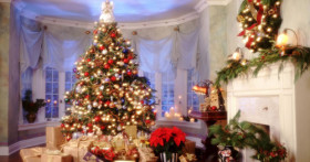 Елка и фэн-шуй