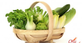 Выращивание сельдерея черешкового