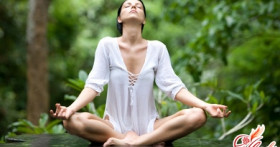 Йога дома для начинающих – основы “умной” гимнастики