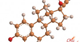 Что представляют собой эстрогены в продуктах