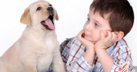 Сезонная аллергия. Поллиноз – лечение и симптомы