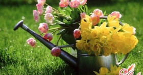 Уход за садом весной