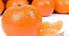 Домашняя оранжерея, или как вырастить мандарин из косточки