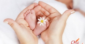 Научный метод зачатия девочки по календарю овуляции