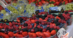 5 доказательств, почему растительная еда полезная