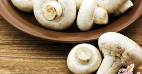 Как высушить и приготовить грибы