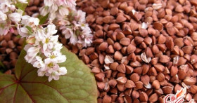 Диета на гречневой каше – худеем с пользой