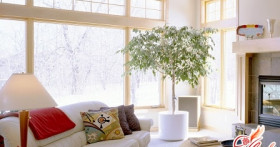 Как правильно расположить дом по фен-шуй?