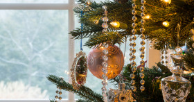 Как хранить живую или искусственную новогоднюю елку