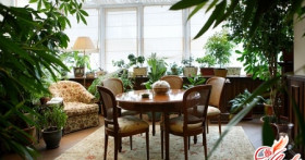 Зимний сад в квартире – ищем возможности и выбираем стиль