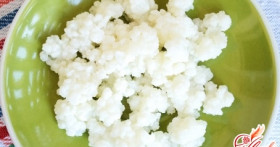 Все о молочном грибе: история, способ приготовления и правила употребления