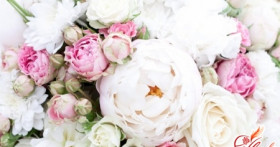 ТОП-7 самых романтичных цветов для девушки