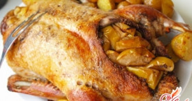 Рецепт утки с яблоками в духовке: изысканное сочетания птицы и фруктов