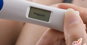 Признаки овуляции и её связь с процессом зачатия