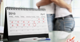 Методы расчета овуляции у женщин