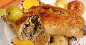 Фаршированная утка – рецепт для начинающих кулинаров