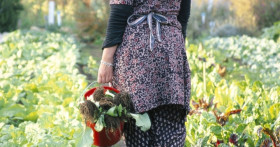 Как избавиться от медведки на своем огороде?