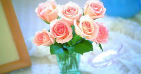 Как продлить жизнь срезанным цветам