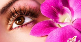 Как ухаживать за ресницами