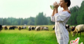 Молочная диета для похудения – ключ к идеальной фигуре