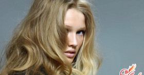 Маски для секущихся волос в домашних условиях – экстренная помощь