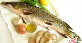 Как приготовить щуку? Секреты “вкусного” меню