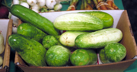 Как приготовить малосольные огурцы – лучшую сезонную закуску?