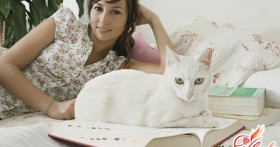 Аллергия на кошек: как бороться с проблемой?