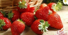 Ремонтантная клубника: сорта повышенной урожайности, плодоносящие до заморозков