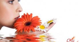 Чувствительная кожа лица больше не проблема!