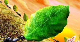 Нашествие вредителей, или как избавиться от муравьев