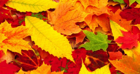 Осень – время позаботиться о себе и близких