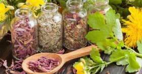 Применение народных средств от поноса у взрослых