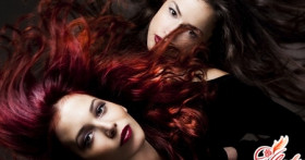 Шварцкопф краска для волос Natural Easy: палитра оттенков