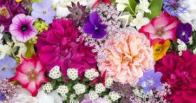 Как правильно выбрать букет цветов для девушки?