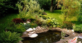 Как создать пруд на даче своими руками?