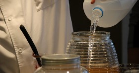 Чем полезен чайный гриб и как его вырастить