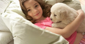 Ребёнка укусила собака? Как этого избежать, выбираем собаку для ребенка