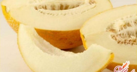 Выращивание дыни в теплице, или Путешествие в сказку