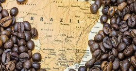 Как климата влияет на вкус бразильского кофе