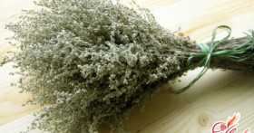 Трава полынь от варикоза