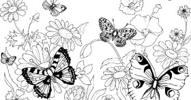 Красивые раскраски для детей