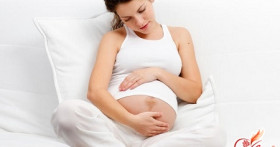 Как малыш растет в животике у мамы: все о беременности