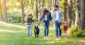 Полезные советы и оригинальные идеи для пикника