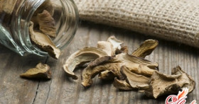 Использование электросушилки для сушки грибов