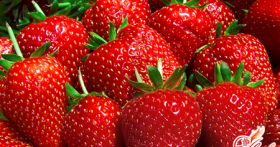 Сорта клубники. Какой выбрать?