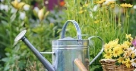 Самые благоприятные дни для посадки в феврале 2019 года по Лунному календарю