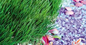 Мульчирование – современный способ ухода за почвой