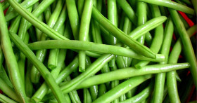 Стручковая фасоль при хроническом панкреатите