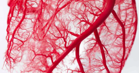 Что такое ЭМА